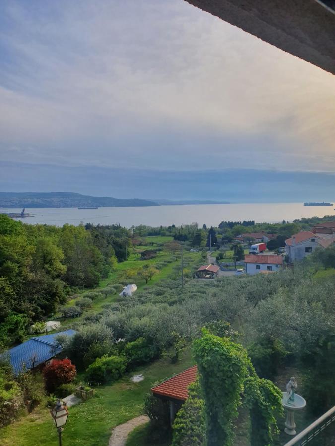 Apartma Aleksandra Анкаран Екстер'єр фото